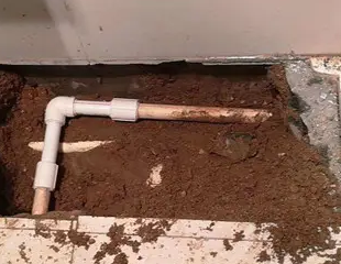 道里测漏水哪家好