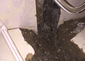 道里卫生间测漏水哪家好